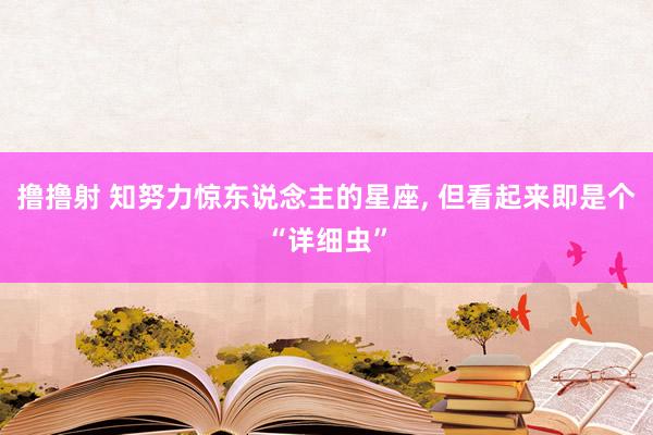 撸撸射 知努力惊东说念主的星座， 但看起来即是个“详细虫”