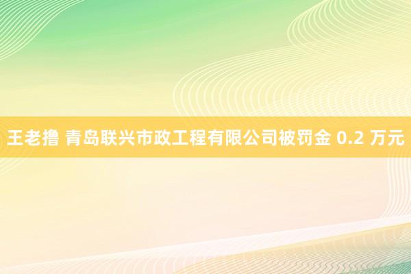 王老撸 青岛联兴市政工程有限公司被罚金 0.2 万元