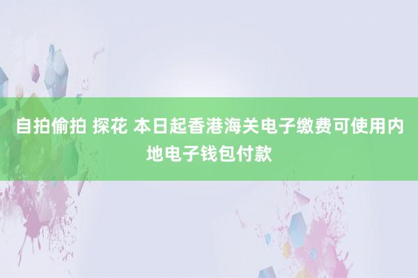 自拍偷拍 探花 本日起香港海关电子缴费可使用内地电子钱包付款