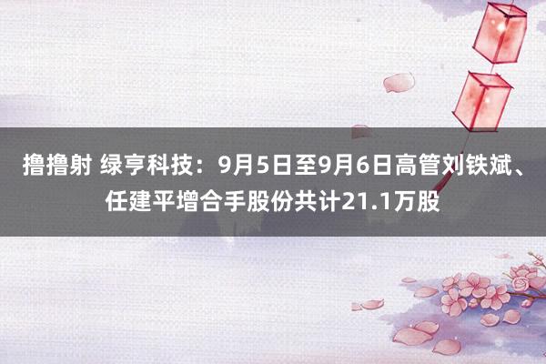 撸撸射 绿亨科技：9月5日至9月6日高管刘铁斌、任建平增合手股份共计21.1万股