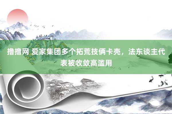 撸撸网 爱家集团多个拓荒技俩卡壳，法东谈主代表被收敛高滥用