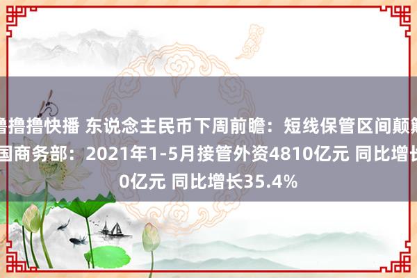 撸撸撸快播 东说念主民币下周前瞻：短线保管区间颠簸花样 中国商务部：2021年1-5月接管外资4810亿元 同比增长35.4%