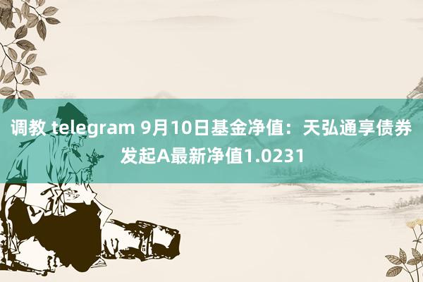 调教 telegram 9月10日基金净值：天弘通享债券发起A最新净值1.0231