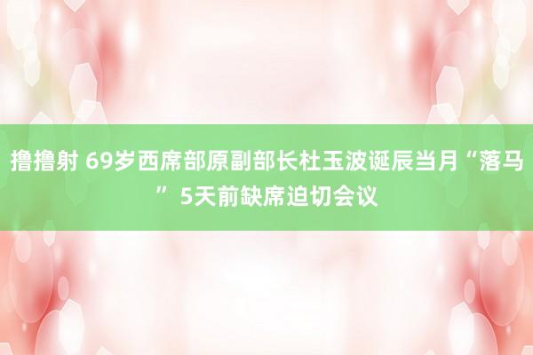 撸撸射 69岁西席部原副部长杜玉波诞辰当月“落马” 5天前缺席迫切会议