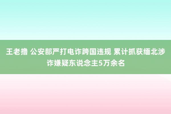 王老撸 公安部严打电诈跨国违规 累计抓获缅北涉诈嫌疑东说念主5万余名