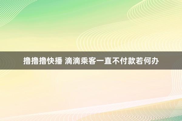 撸撸撸快播 滴滴乘客一直不付款若何办