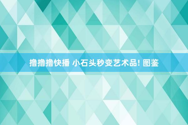 撸撸撸快播 小石头秒变艺术品! 图鉴