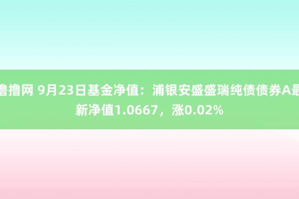 撸撸网 9月23日基金净值：浦银安盛盛瑞纯债债券A最新净值1.0667，涨0.02%