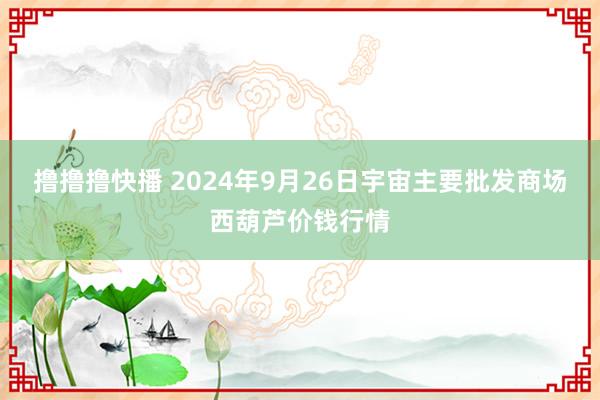 撸撸撸快播 2024年9月26日宇宙主要批发商场西葫芦价钱行情