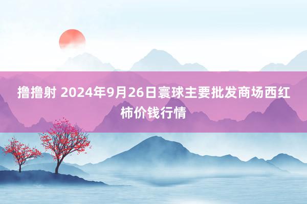 撸撸射 2024年9月26日寰球主要批发商场西红柿价钱行情