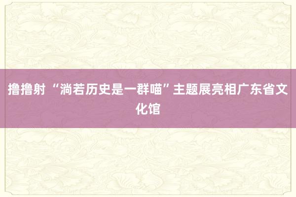 撸撸射 “淌若历史是一群喵”主题展亮相广东省文化馆