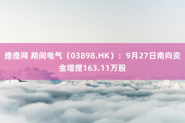 撸撸网 期间电气（03898.HK）：9月27日南向资金增捏163.11万股