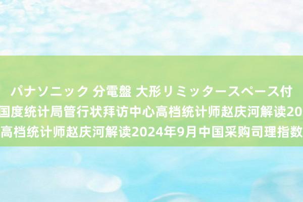 パナソニック 分電盤 大形リミッタースペース付 露出・半埋込両用形 国度统计局管行状拜访中心高档统计师赵庆河解读2024年9月中国采购司理指数