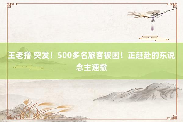 王老撸 突发！500多名旅客被困！正赶赴的东说念主速撤