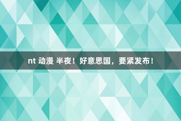 nt 动漫 半夜！好意思国，要紧发布！