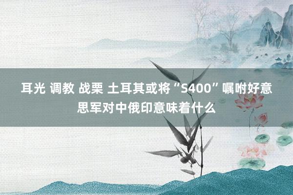 耳光 调教 战栗 土耳其或将“S400”嘱咐好意思军对中俄印意味着什么