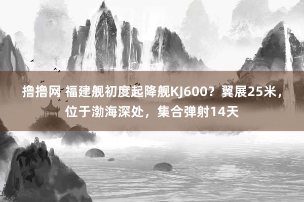 撸撸网 福建舰初度起降舰KJ600？翼展25米，位于渤海深处，集合弹射14天