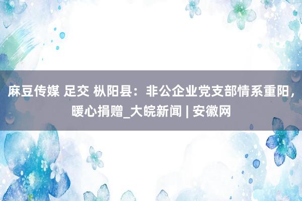 麻豆传媒 足交 枞阳县：非公企业党支部情系重阳，暖心捐赠_大皖新闻 | 安徽网