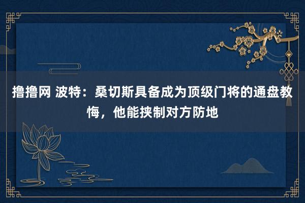 撸撸网 波特：桑切斯具备成为顶级门将的通盘教悔，他能挟制对方防地