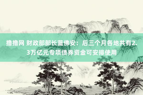 撸撸网 财政部部长蓝佛安：后三个月各地共有2.3万亿元专项债券资金可安排使用