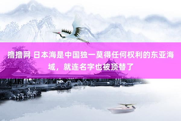 撸撸网 日本海是中国独一莫得任何权利的东亚海域，就连名字也被顶替了