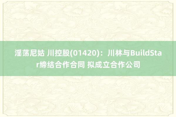 淫荡尼姑 川控股(01420)：川林与BuildStar缔结合作合同 拟成立合作公司