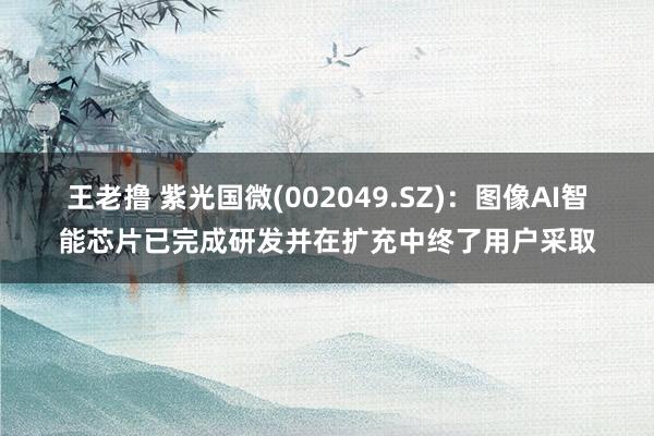 王老撸 紫光国微(002049.SZ)：图像AI智能芯片已完成研发并在扩充中终了用户采取