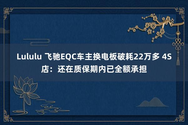 Lululu 飞驰EQC车主换电板破耗22万多 4S店：还在质保期内已全额承担