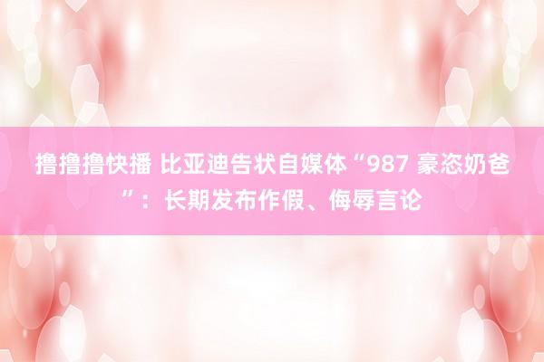 撸撸撸快播 比亚迪告状自媒体“987 豪恣奶爸”：长期发布作假、侮辱言论