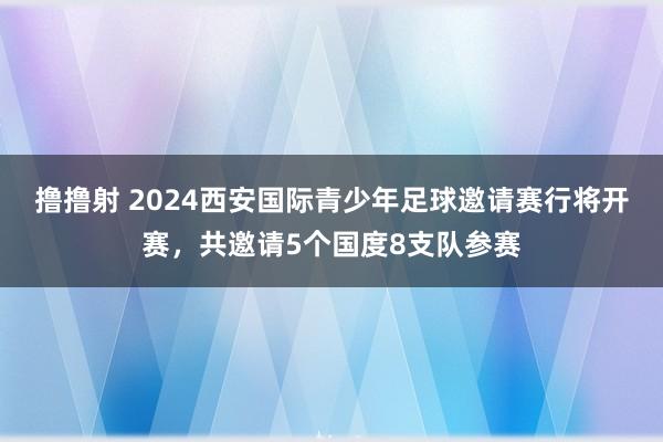 撸撸射 2024西安国际青少年足球邀请赛行将开赛，共邀请5个国度8支队参赛