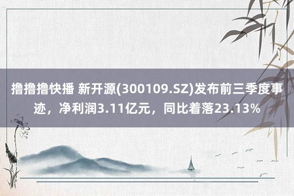 撸撸撸快播 新开源(300109.SZ)发布前三季度事迹，净利润3.11亿元，同比着落23.13%