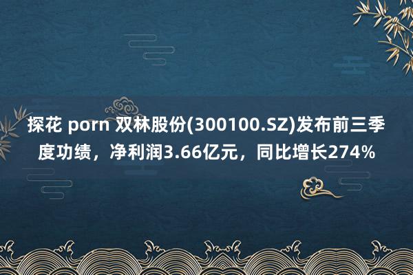 探花 porn 双林股份(300100.SZ)发布前三季度功绩，净利润3.66亿元，同比增长274%