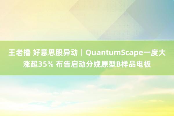 王老撸 好意思股异动｜QuantumScape一度大涨超35% 布告启动分娩原型B样品电板