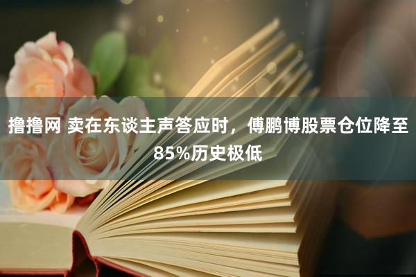 撸撸网 卖在东谈主声答应时，傅鹏博股票仓位降至85%历史极低