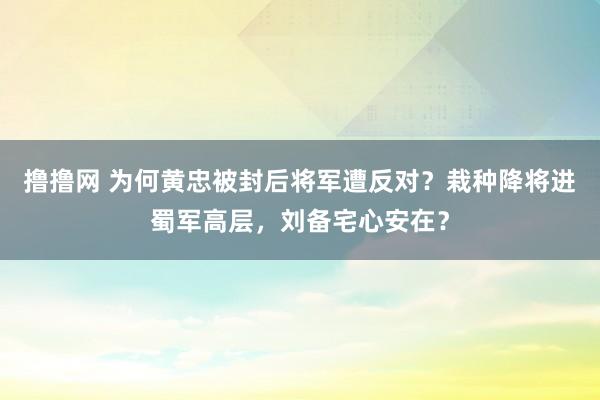 撸撸网 为何黄忠被封后将军遭反对？栽种降将进蜀军高层，刘备宅心安在？