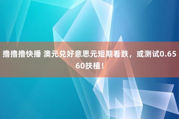 撸撸撸快播 澳元兑好意思元短期看跌，或测试0.6560扶植！