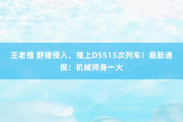 王老撸 野猪侵入，撞上D5515次列车！最新通报：机械师身一火