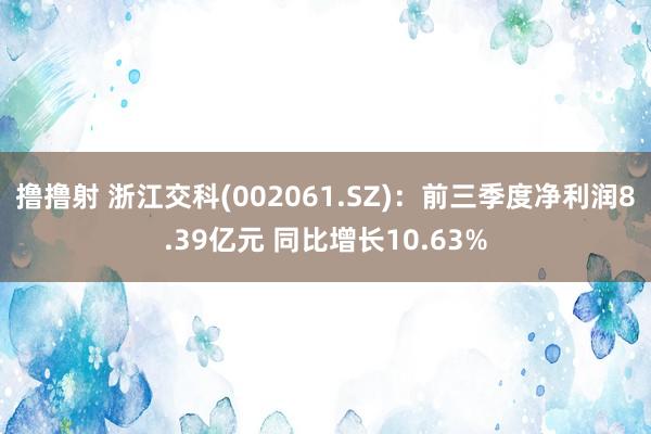 撸撸射 浙江交科(002061.SZ)：前三季度净利润8.39亿元 同比增长10.63%