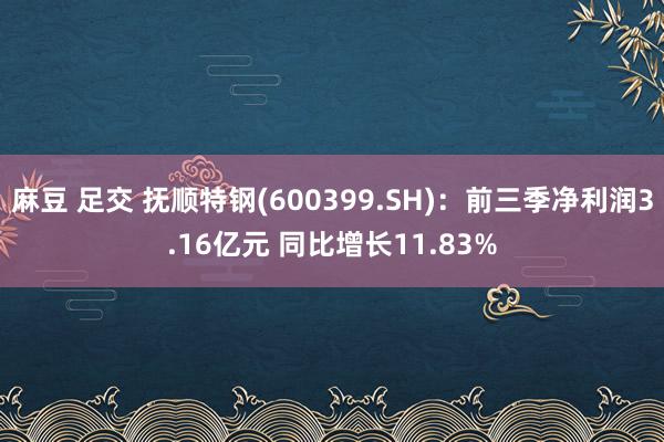 麻豆 足交 抚顺特钢(600399.SH)：前三季净利润3.16亿元 同比增长11.83%