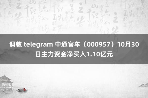 调教 telegram 中通客车（000957）10月30日主力资金净买入1.10亿元