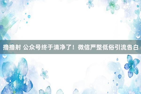 撸撸射 公众号终于清净了！微信严整低俗引流告白