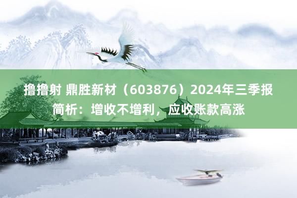 撸撸射 鼎胜新材（603876）2024年三季报简析：增收不增利，应收账款高涨