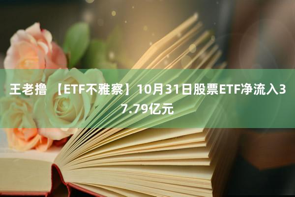 王老撸 【ETF不雅察】10月31日股票ETF净流入37.79亿元