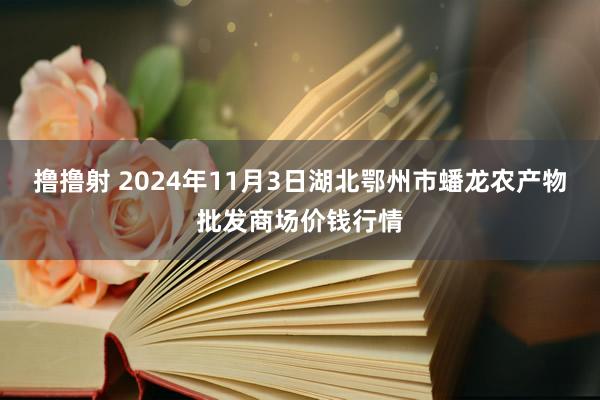 撸撸射 2024年11月3日湖北鄂州市蟠龙农产物批发商场价钱行情