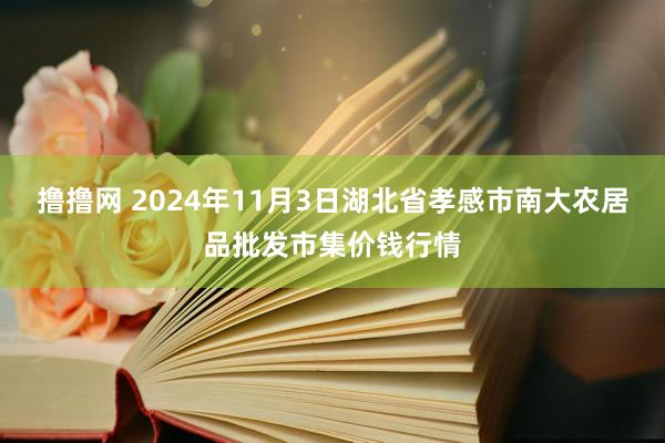 撸撸网 2024年11月3日湖北省孝感市南大农居品批发市集价钱行情