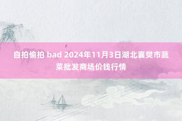 自拍偷拍 bad 2024年11月3日湖北襄樊市蔬菜批发商场价钱行情