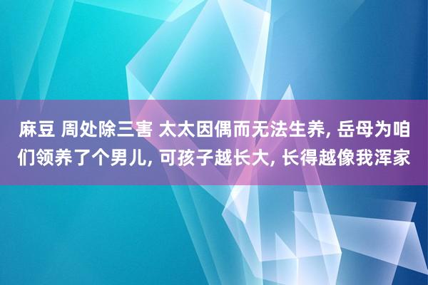 麻豆 周处除三害 太太因偶而无法生养， 岳母为咱们领养了个男儿， 可孩子越长大， 长得越像我浑家