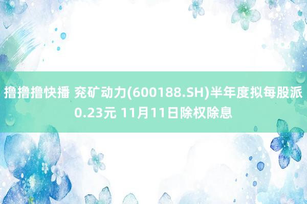 撸撸撸快播 兖矿动力(600188.SH)半年度拟每股派0.23元 11月11日除权除息