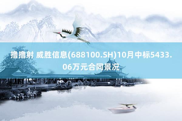 撸撸射 威胜信息(688100.SH)10月中标5433.06万元合同景况