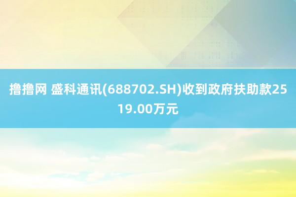 撸撸网 盛科通讯(688702.SH)收到政府扶助款2519.00万元